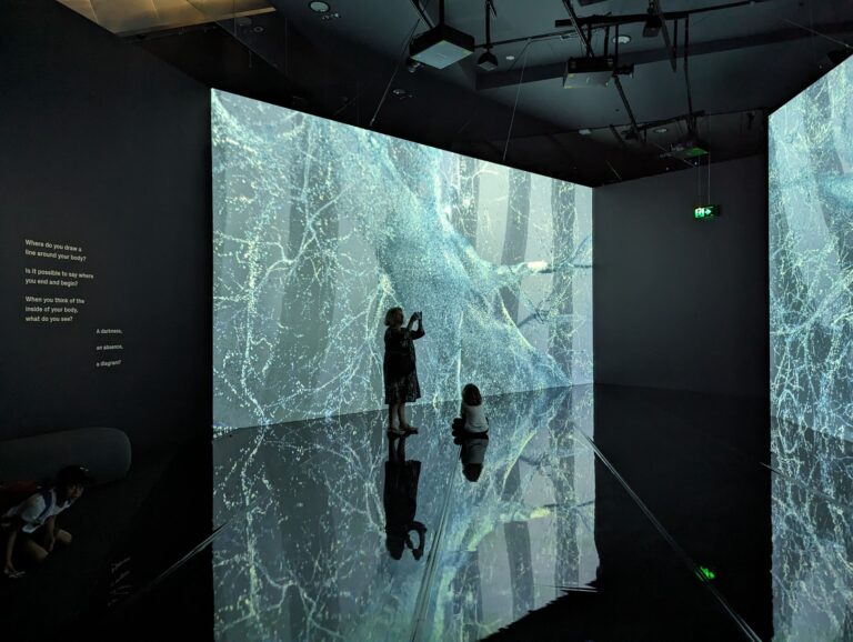 Marshmallow Laser Feast: Works Of Nature at ACMI