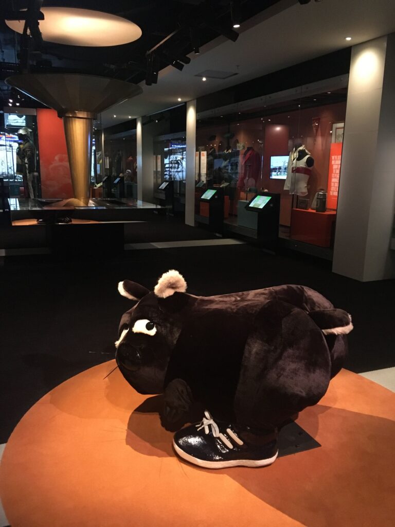 Wombat at National Sports Museum, seniors card Melbourne