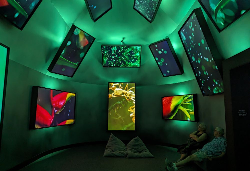 The many small screens within the Micro Life exhibit