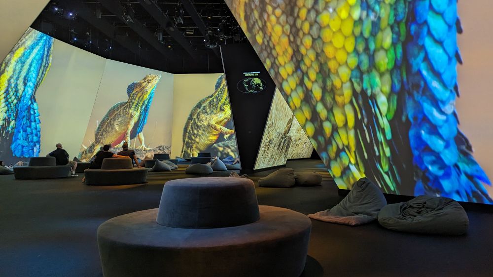 The big screens at BBC Earth Experience Melbourne