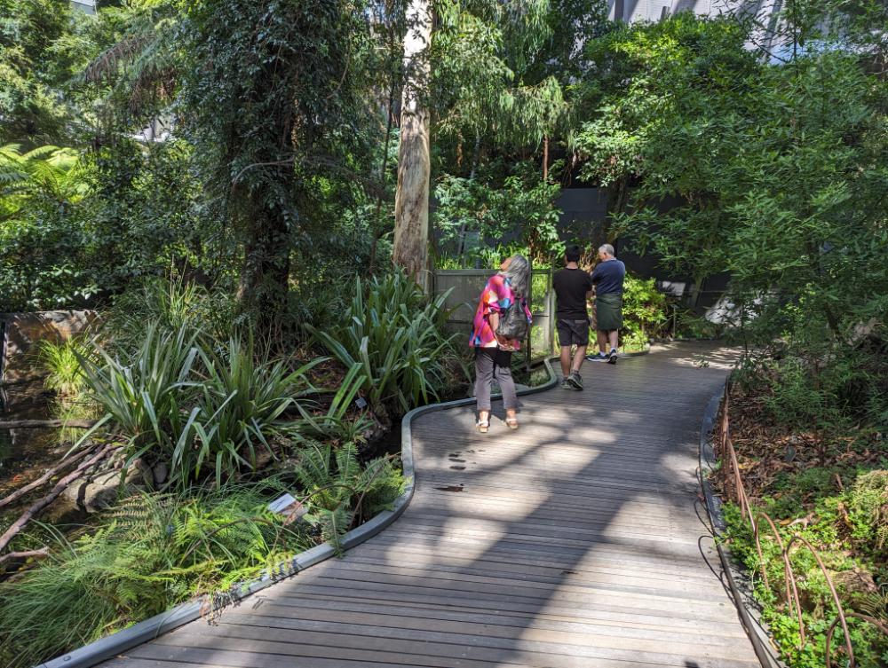 The Forest Gallery, Melbourne Museum