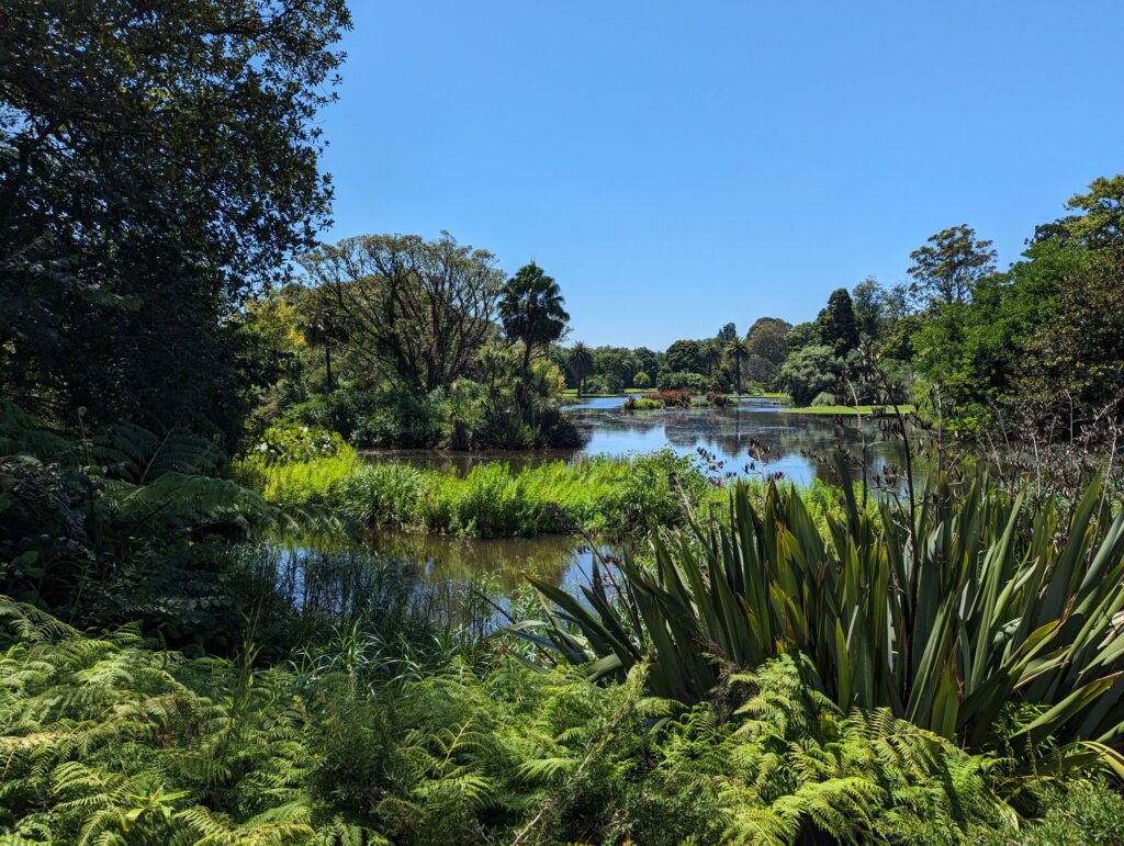 Ornamental Lake - A Melbourne Botanical Gardens Tour By Minibus 