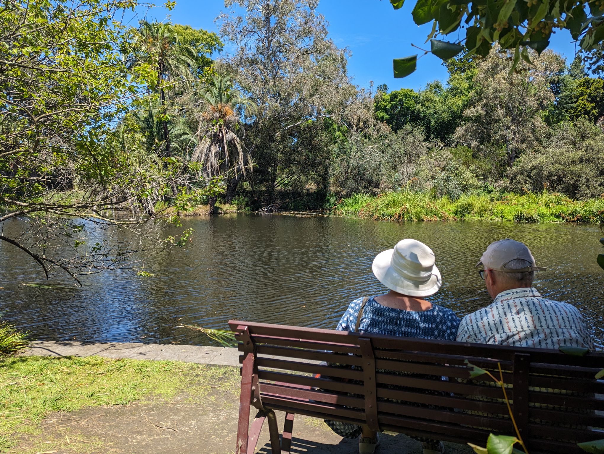 Overlooking the lake at Royal Botanic Gardens Melbourne