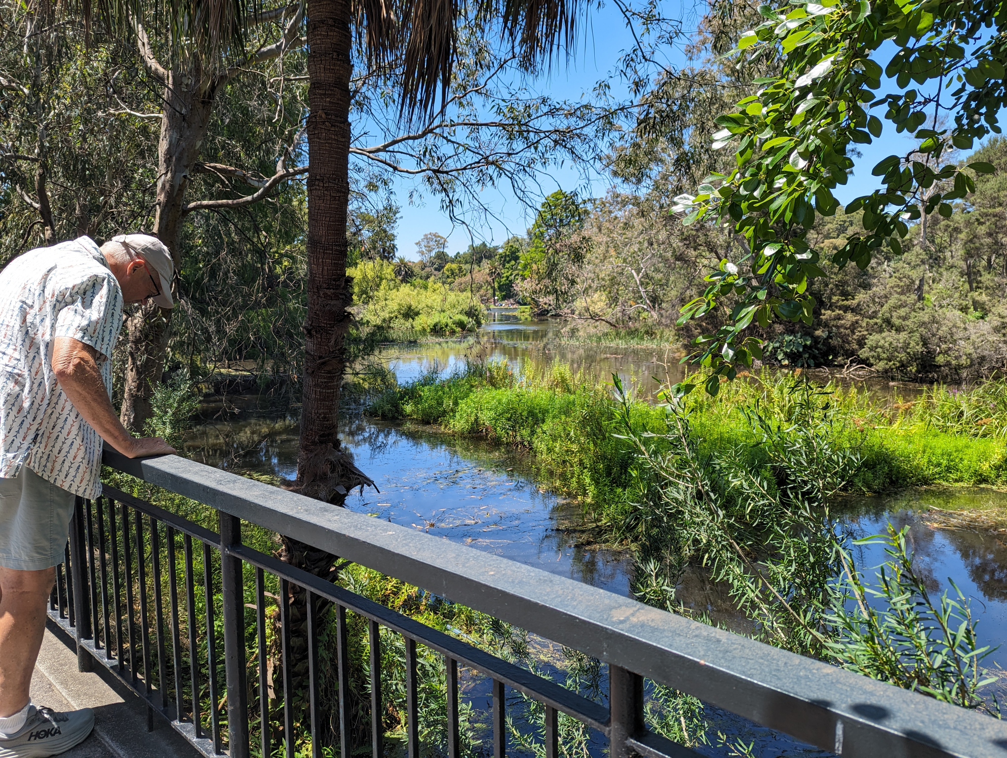 Ornamental Lake, Melbourne Botanic Gardens