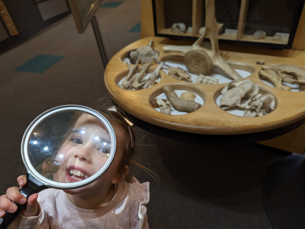 Exploring interesting artefacts at the The Tidal River Visitor Centre, open daily, from 9:00 am to 4:00 pm