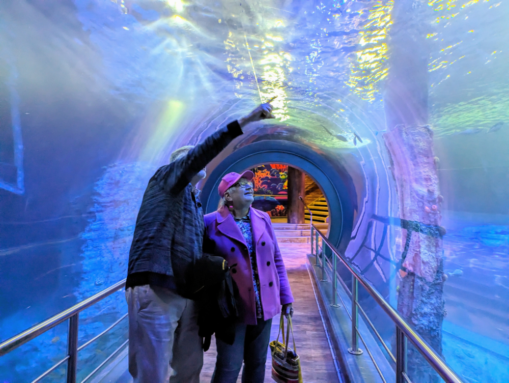 20% discount with seniors card Melbourne Aquarium