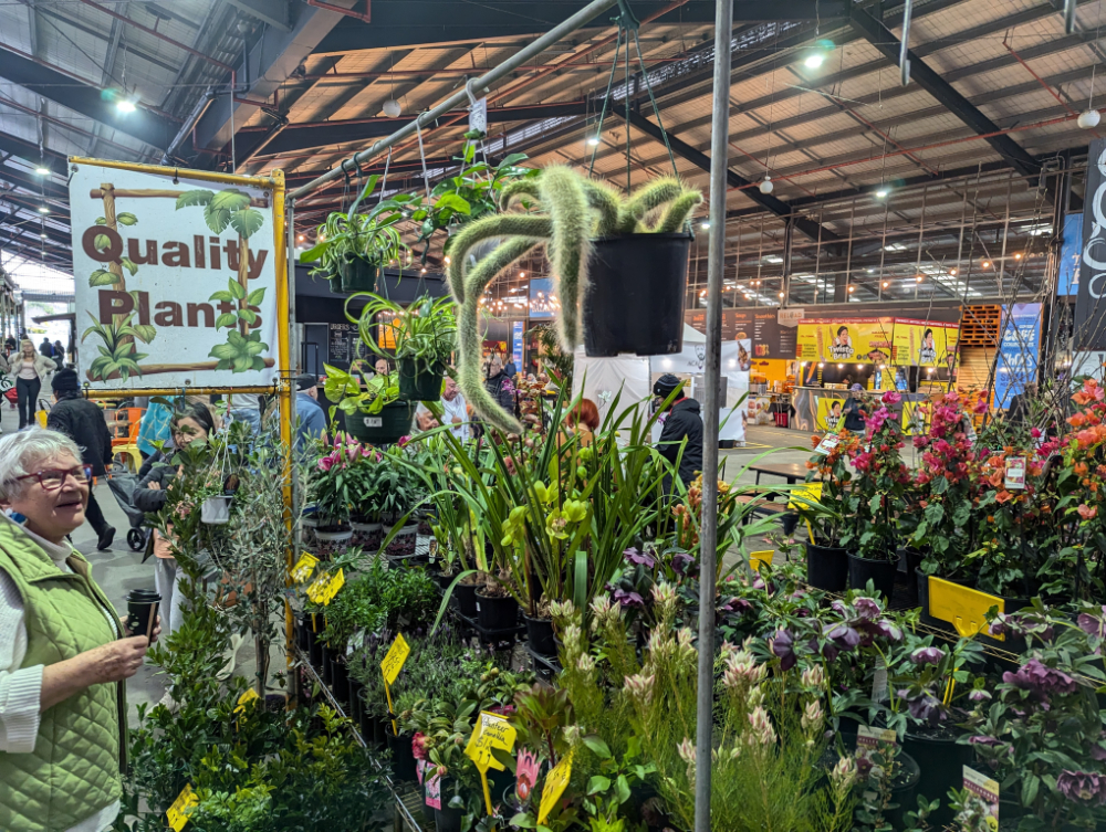 Quality plants stall at Dandenong Market Amy Gardner