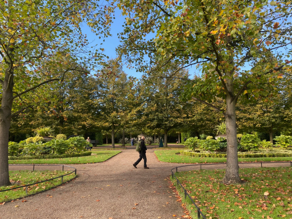 Free things to do in London - visit Regents Park!
