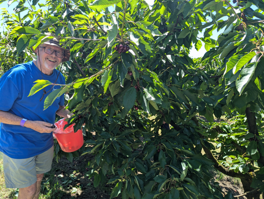 Cherry Picking Melbourne
Cherryhill Orchards
