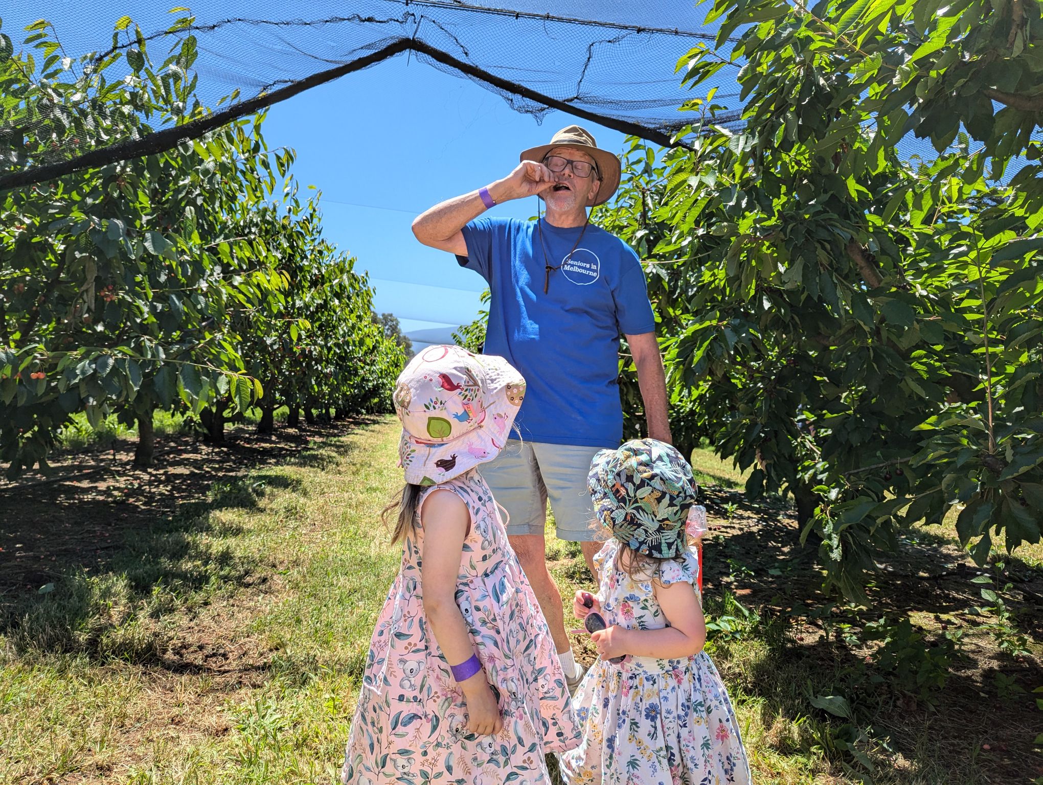 Cherry Picking Melbourne Cherryhill Orchards