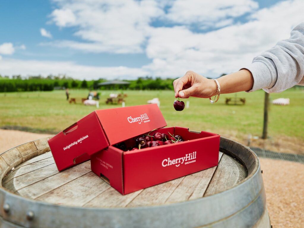 Cherry Picking Melbourne
Cherryhill Orchards
