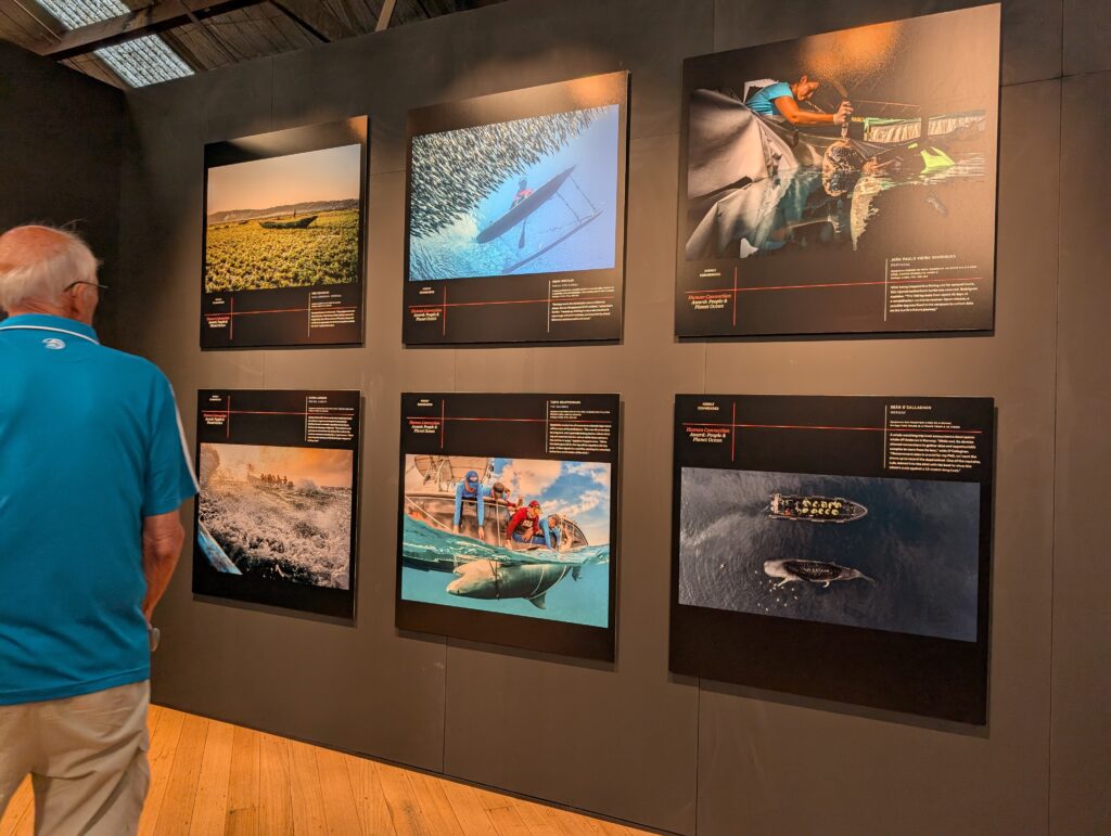 Ocean Photographer of the Year - Seaworks Events