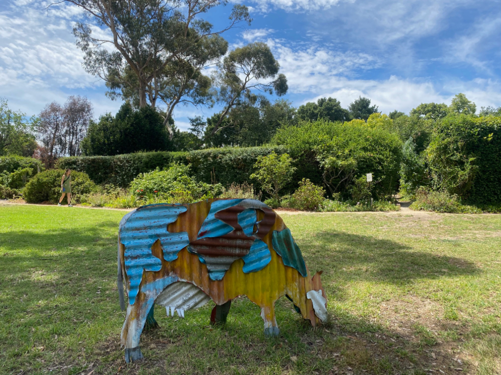 Jeff Thomson Cow Heide Museum of Modern Art