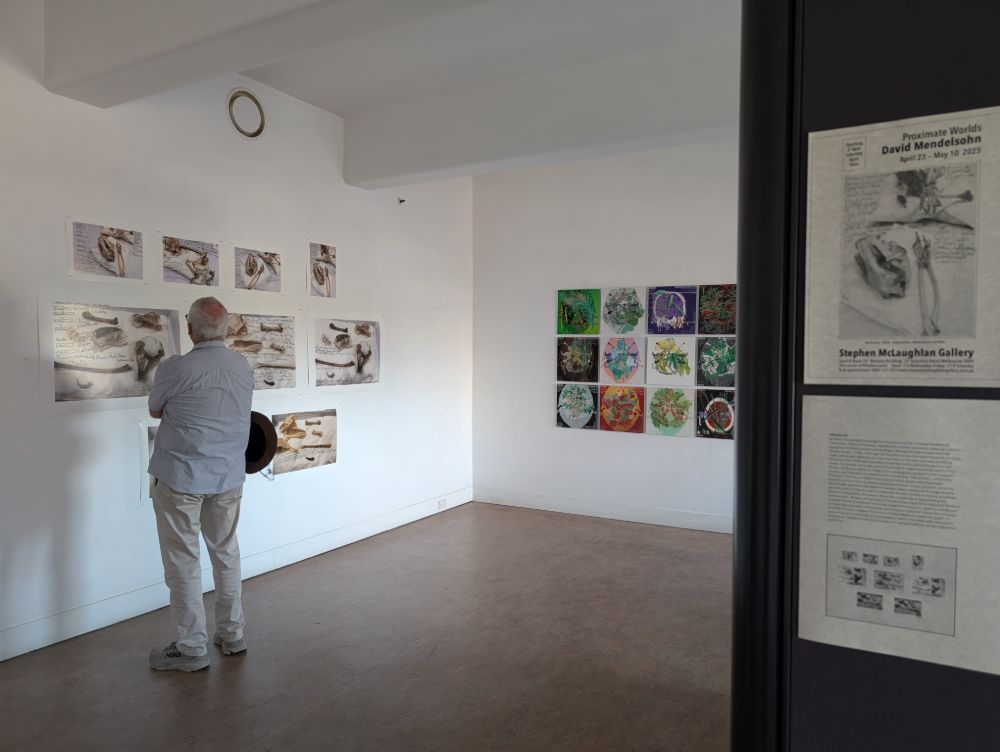 Stephen Mclaughlan Gallery Melbourne