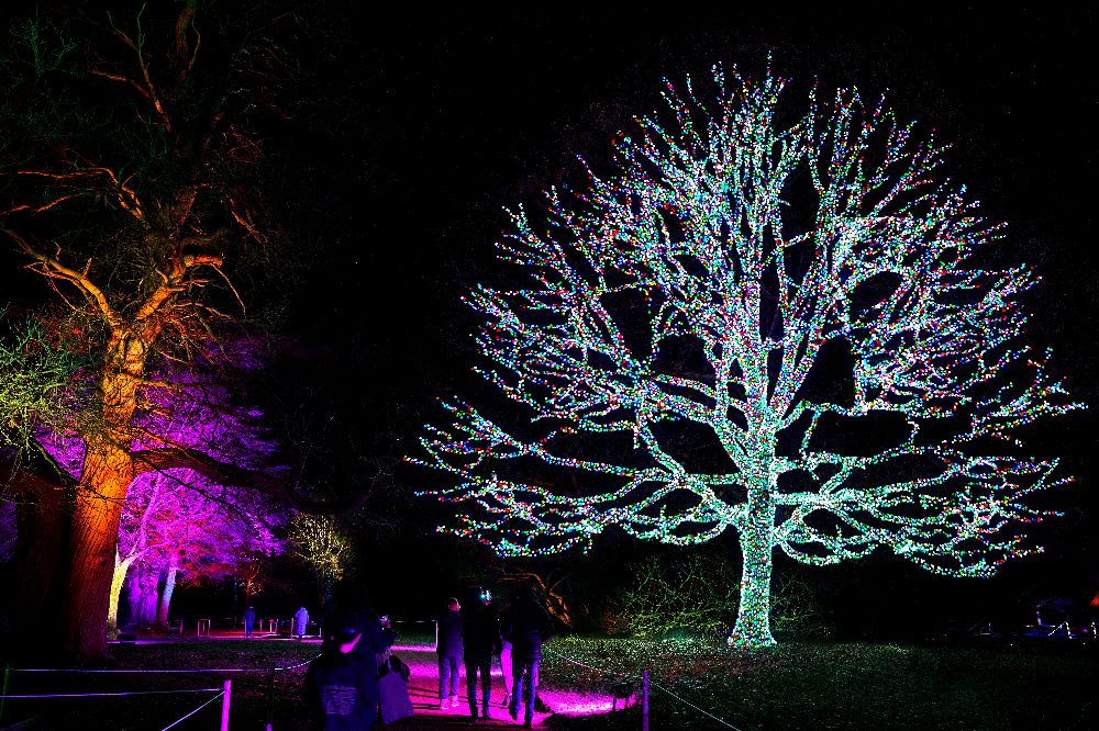 Lightscape 2026 image supplied