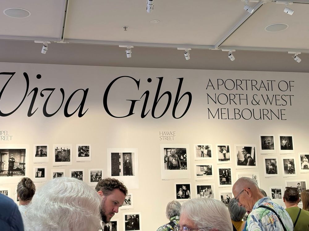 Viva Gibb opening at City Gallery