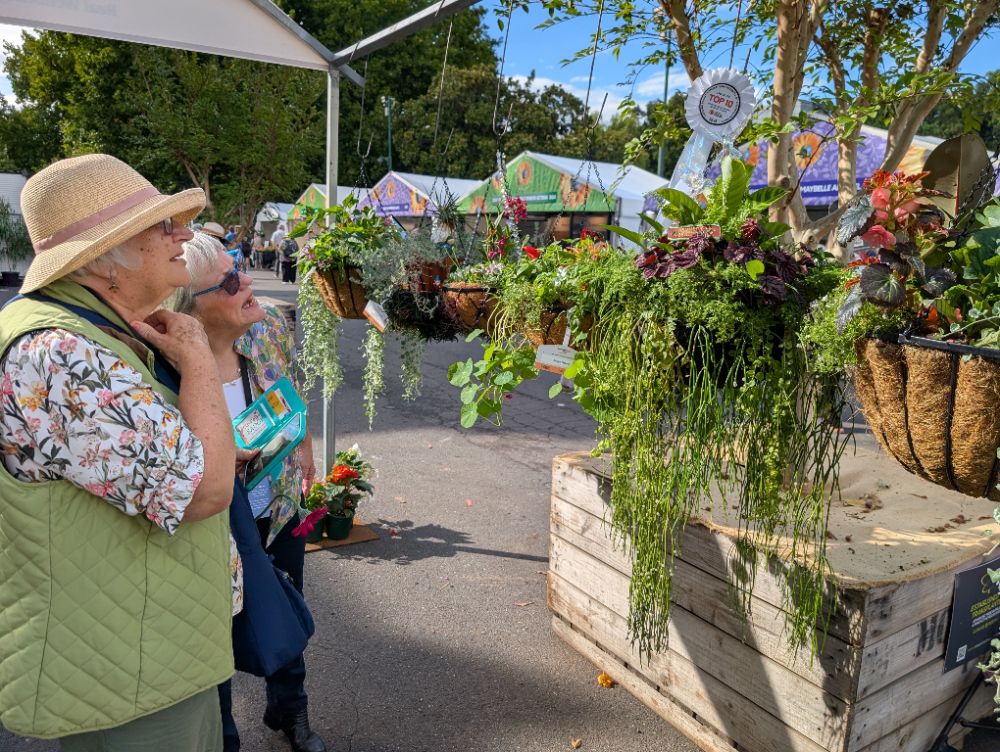 Admiring the hanging baskets of the 2026 Flower and Garden Show