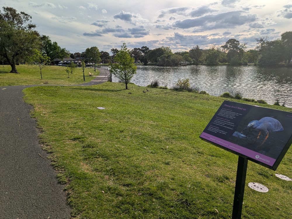 Lake Weeroona, Bendigo - image by Amy Gardner