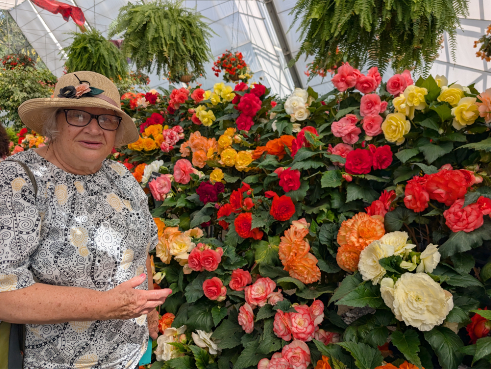 Ballarat Begonia Festival