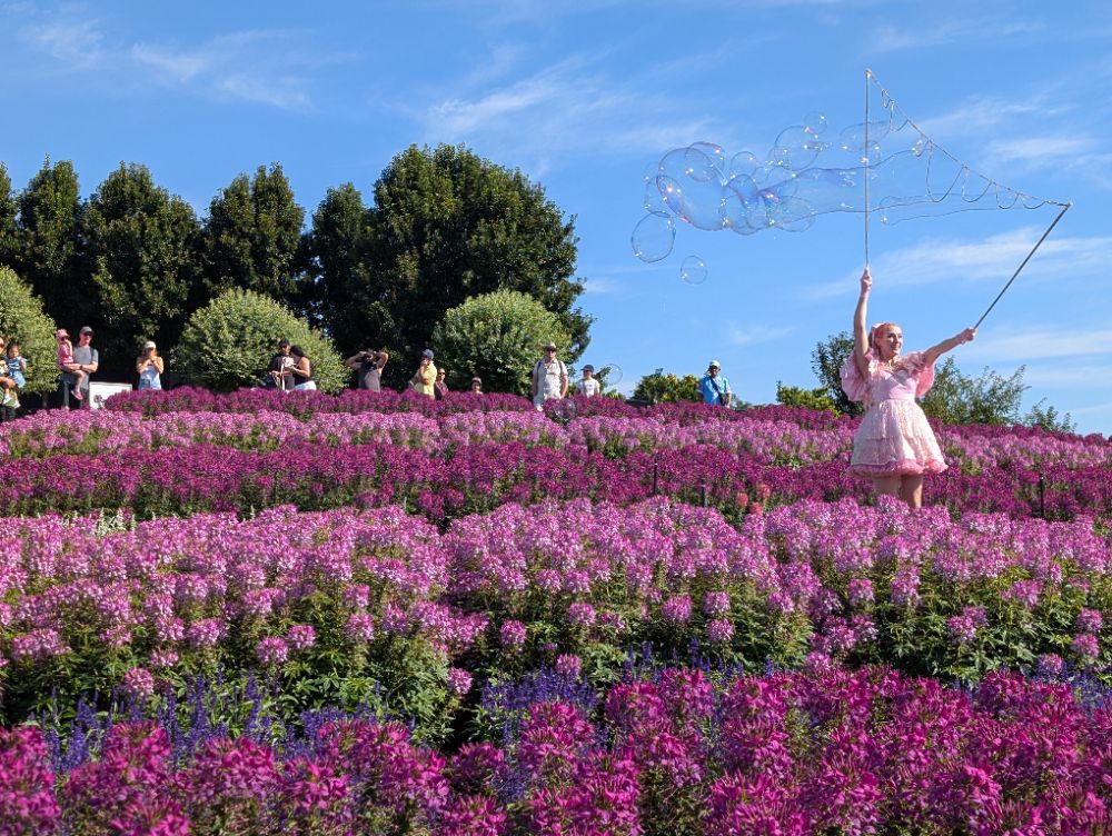 Kabloom Flower Festival 2026 image by Amy Gardner