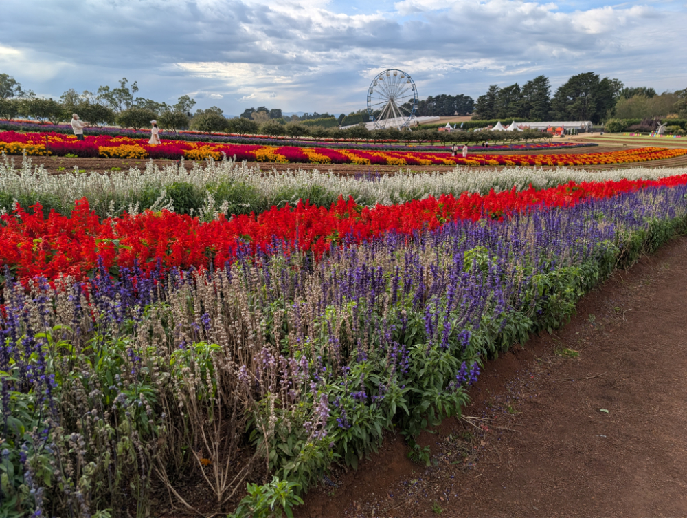 Kabloom Flower Festival