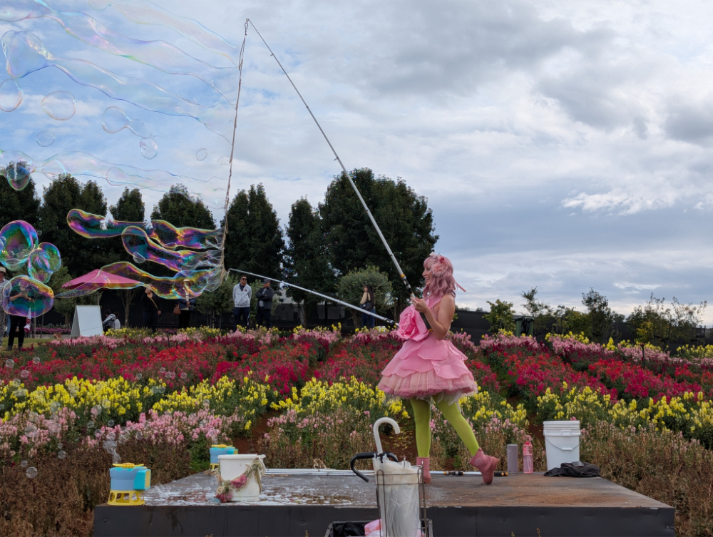 Kabloom Flower Festival