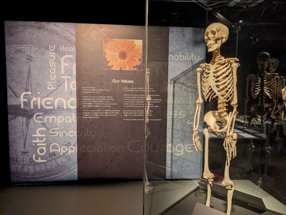 BODY WORLDS Melbourne - image by Amy Gardner