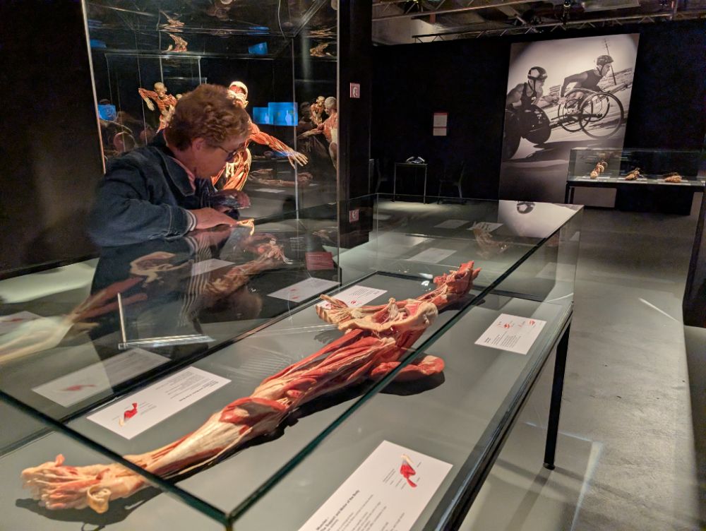 BODY WORLDS Melbourne - image by Amy Gardner