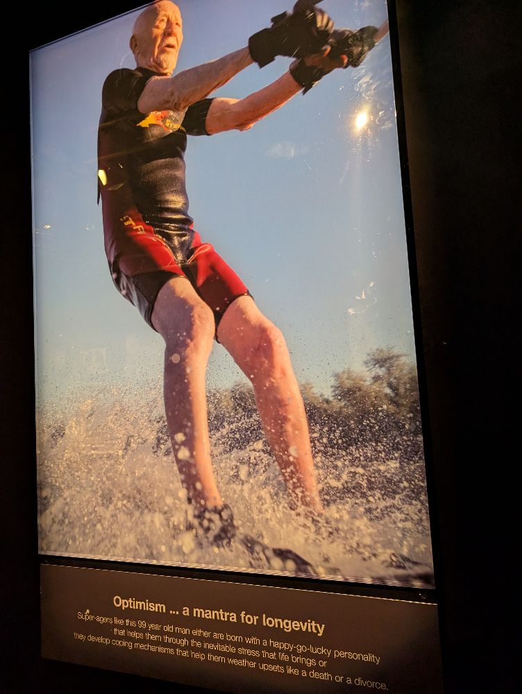 BODY WORLDS Melbourne - image by Amy Gardner