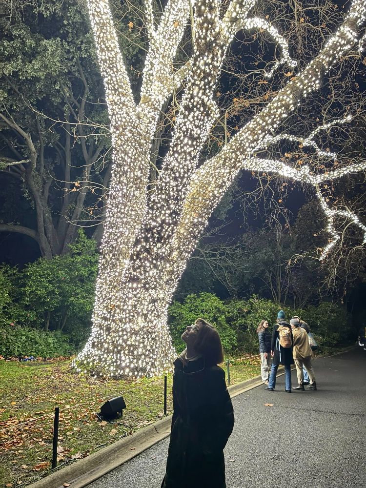 Angie attends Lightscape 2026