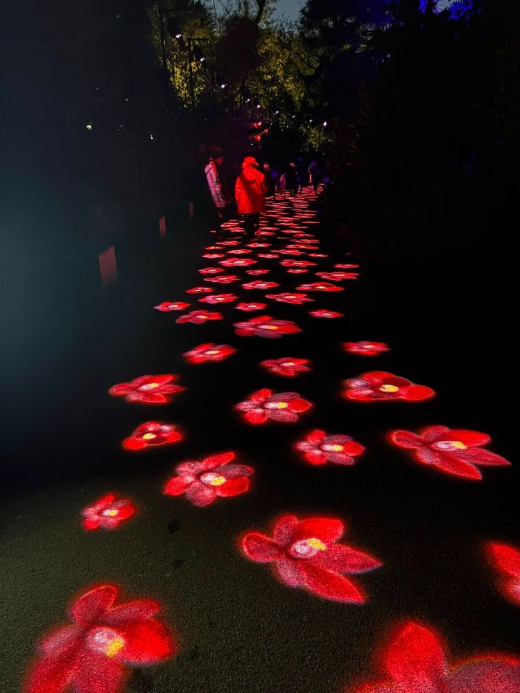 2026 Lightscape, image by Angie Taylor