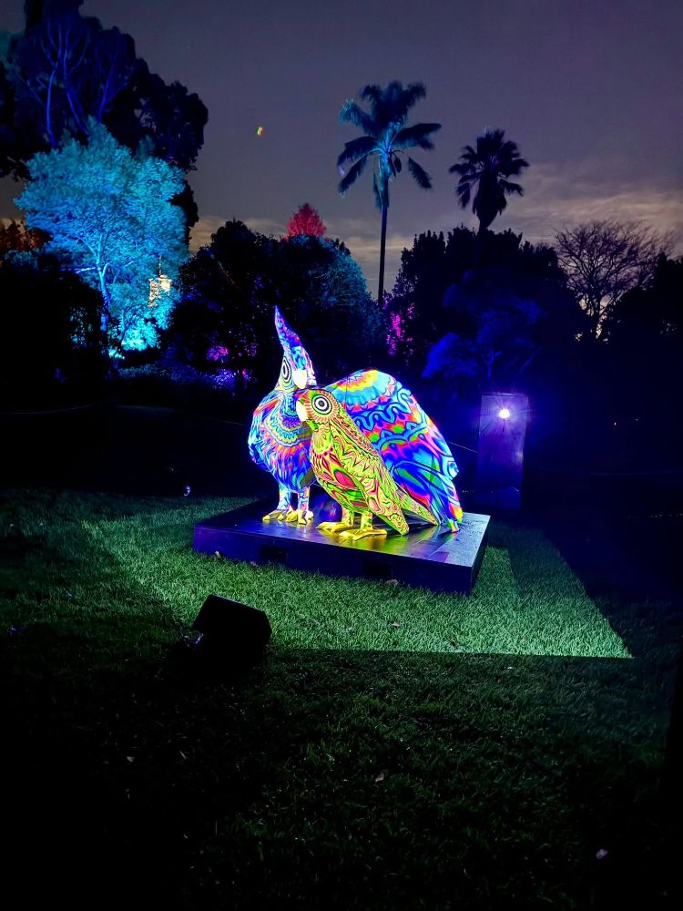 Lightscape 2026 - image by Angie Taylor