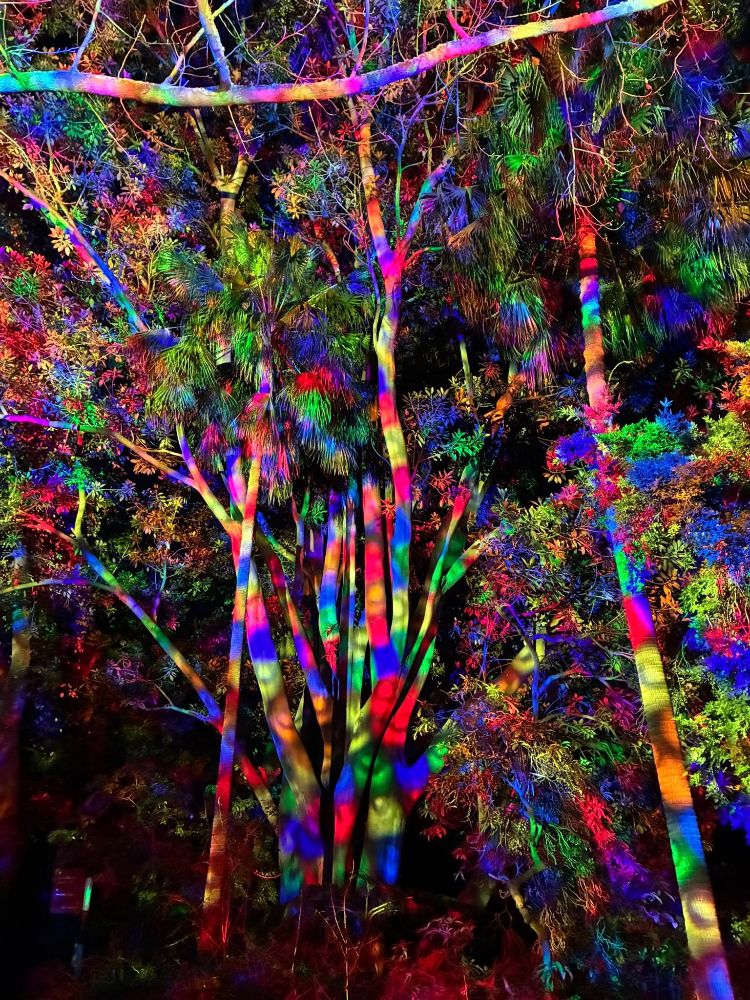 Lightscape image by Angie Taylor