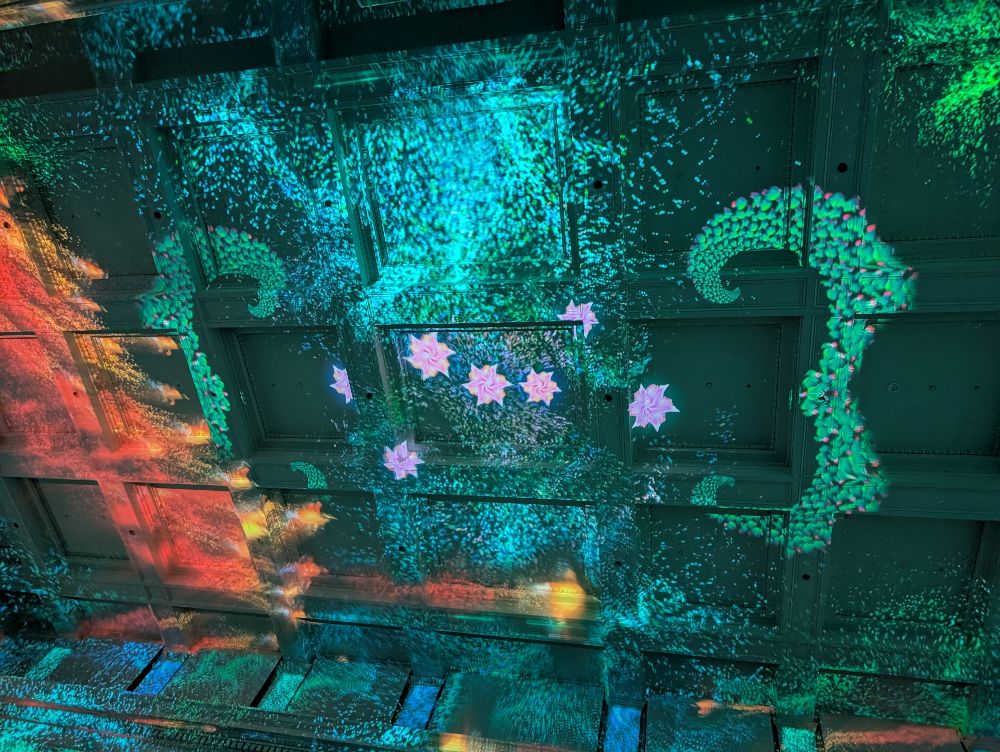 Eonarium Enlightment Melbourne - image by Amy Gardner