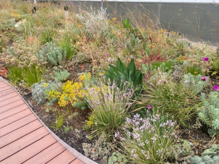 Melbourne’s Secret Garden