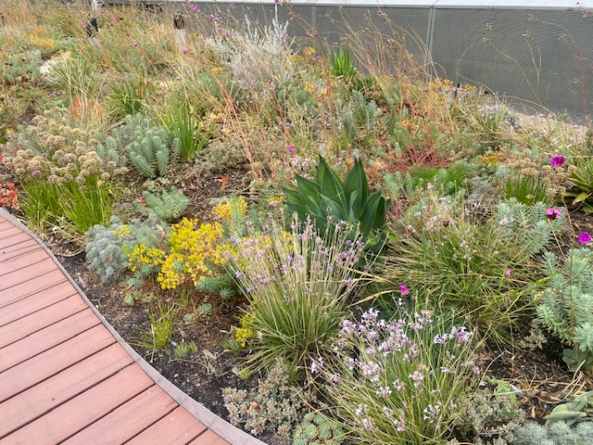 Melbourne’s Secret Garden