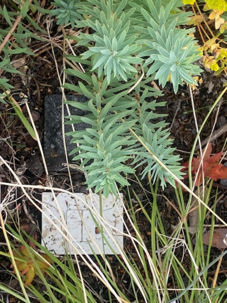 Melbourne’s Secret Garden