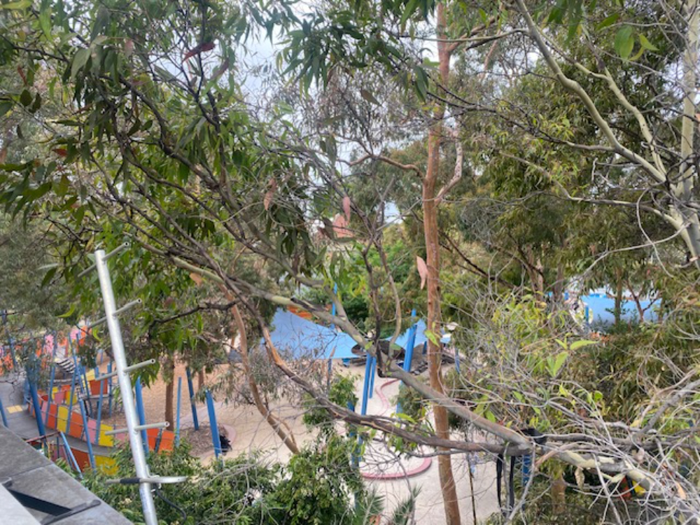 Melbourne’s Secret Garden