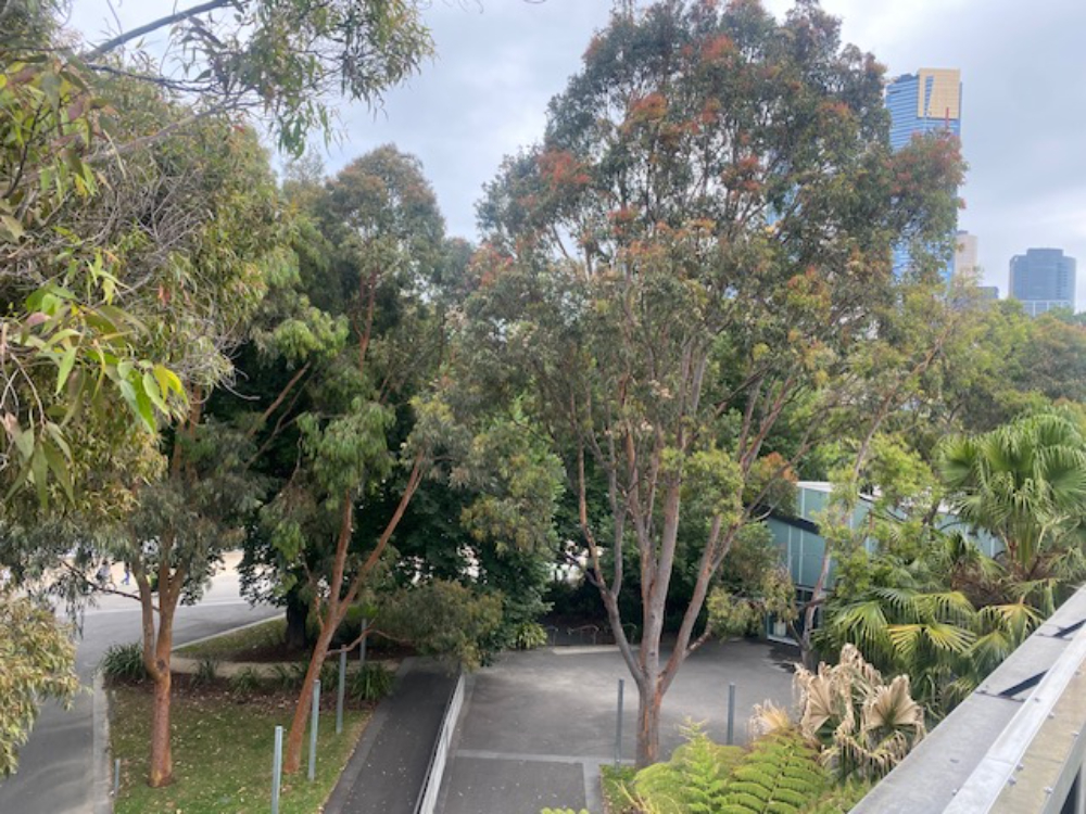 Melbourne’s Secret Garden