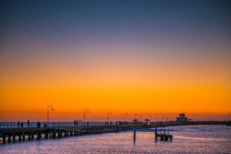 St Kilda’s Little Penguins: A magical experience