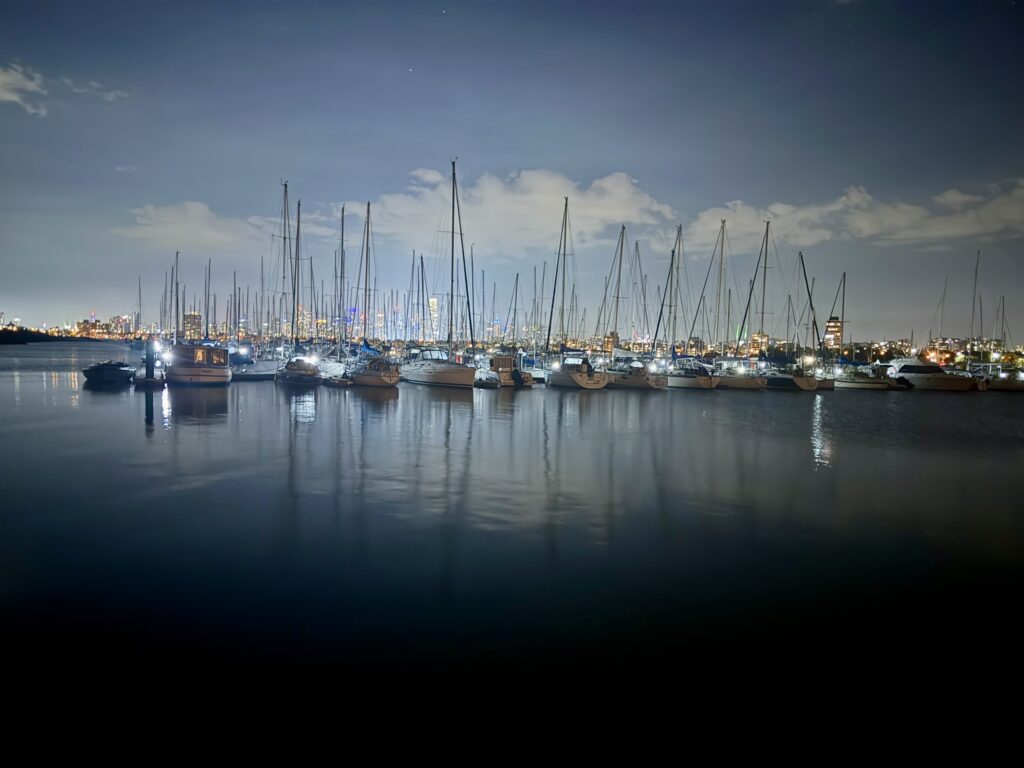 St Kilda Pier penguins - image by Alli Harding (2) (1)