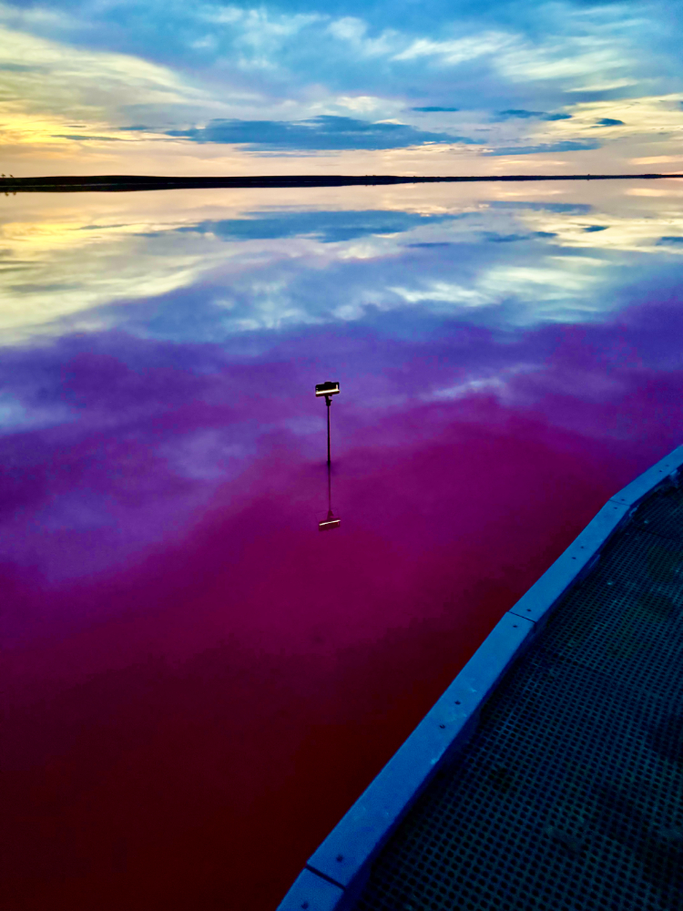 Lake Tyrell