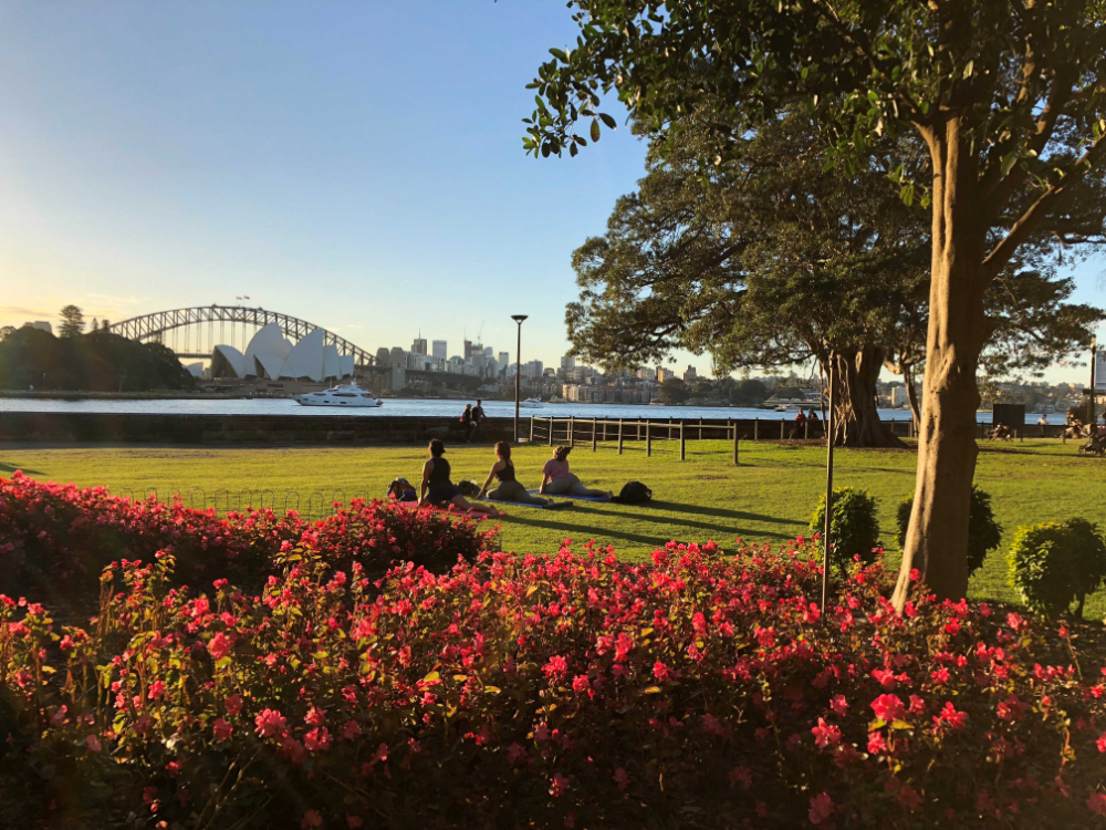Seniors in Sydney