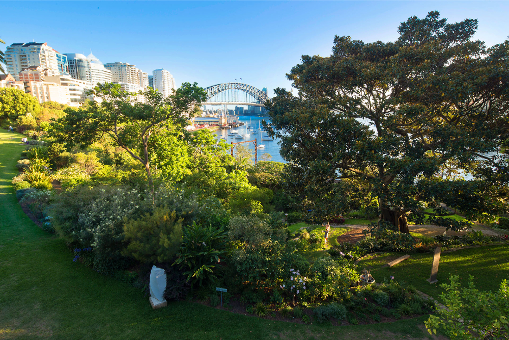 Seniors in Sydney