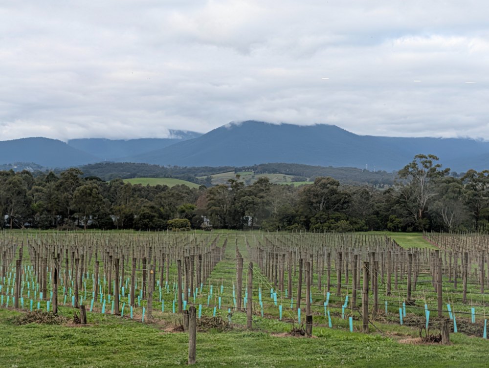 Chandon Yarra Valley