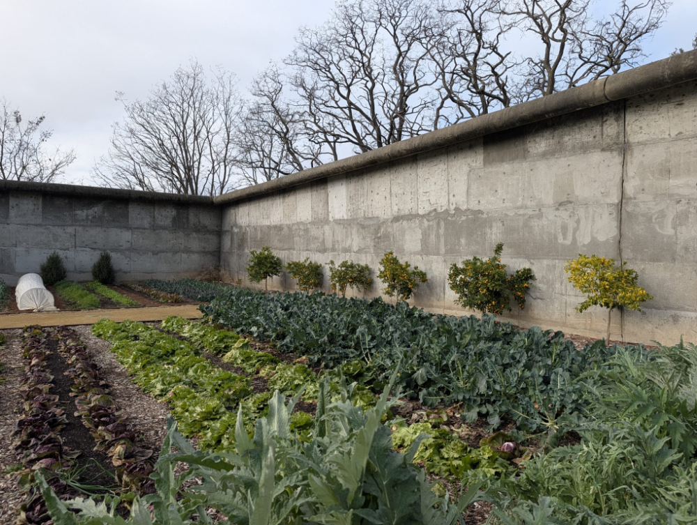 The Agrarian Kitchen