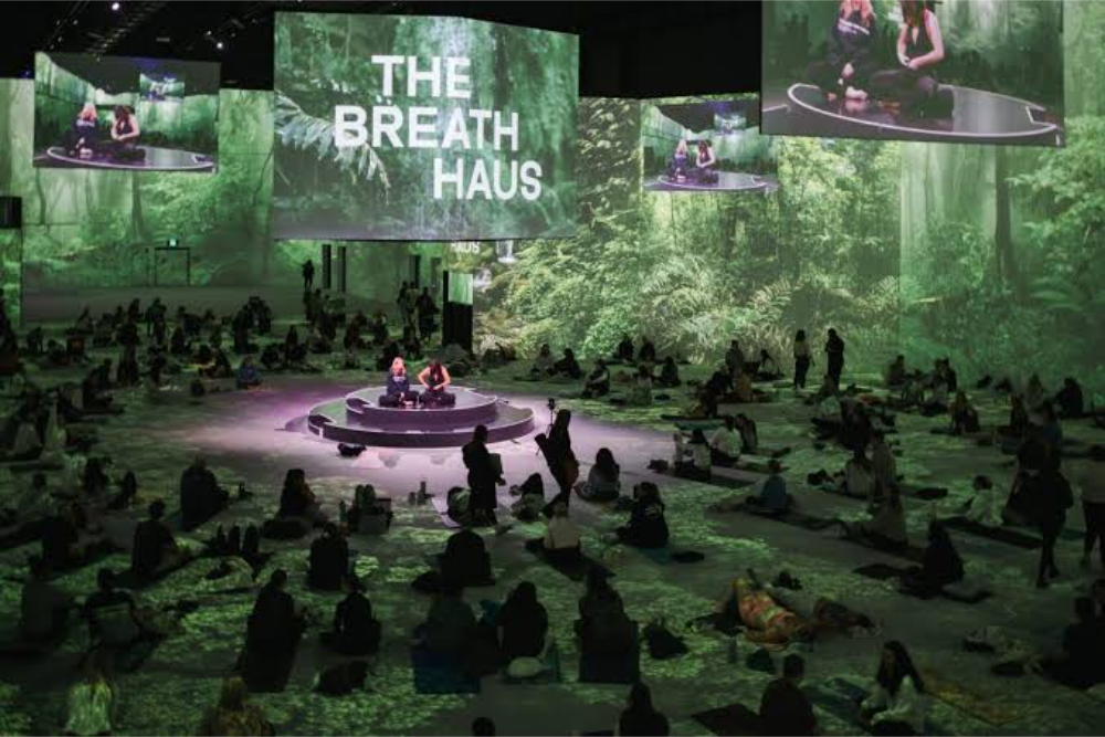 Now or Never Festival 2026