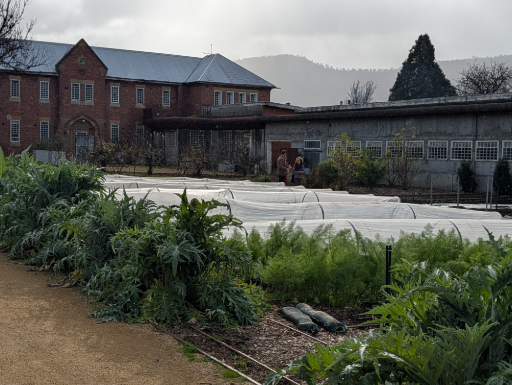 The Agrarian Kitchen