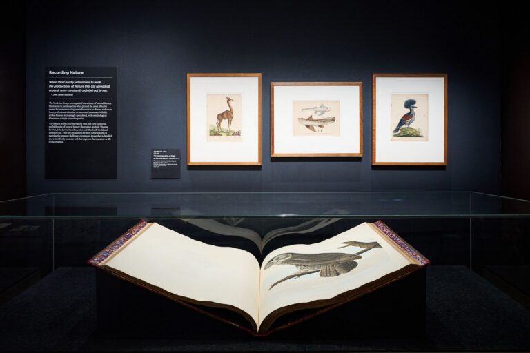 World of the Book