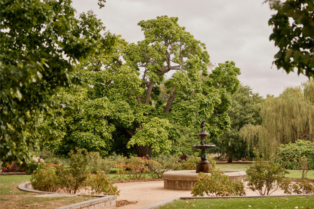 Day Trips from Melbourne